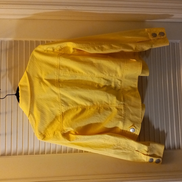 Yellow jacket - Picture 3 of 4